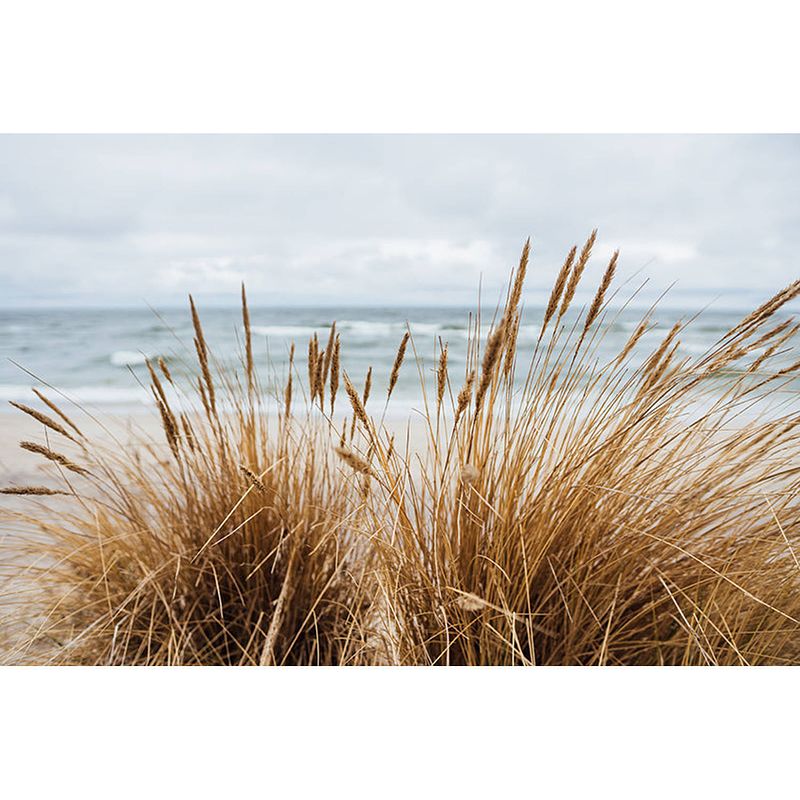 Foto van Inductiebeschermer - beach pampas - 76x52 cm