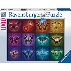 Foto van Ravensburger puzzel gevleugelde dieren