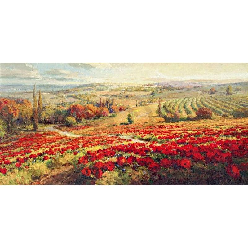 Foto van Roberto lombardi - red poppy panorama kunstdruk 120x60cm