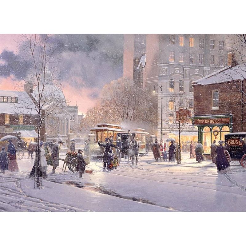 Foto van Cobble hill puzzle 1000 pieces - winter flurry