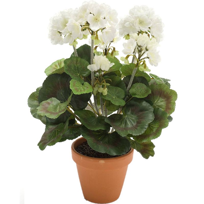 Foto van Witte geranium pelargonium graveolens kunstplant in terracotta pot 38 cm - kunstplanten