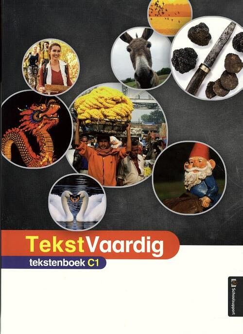 Foto van Tekstvaardig tekstenboek c1 - paperback (9789086648535)