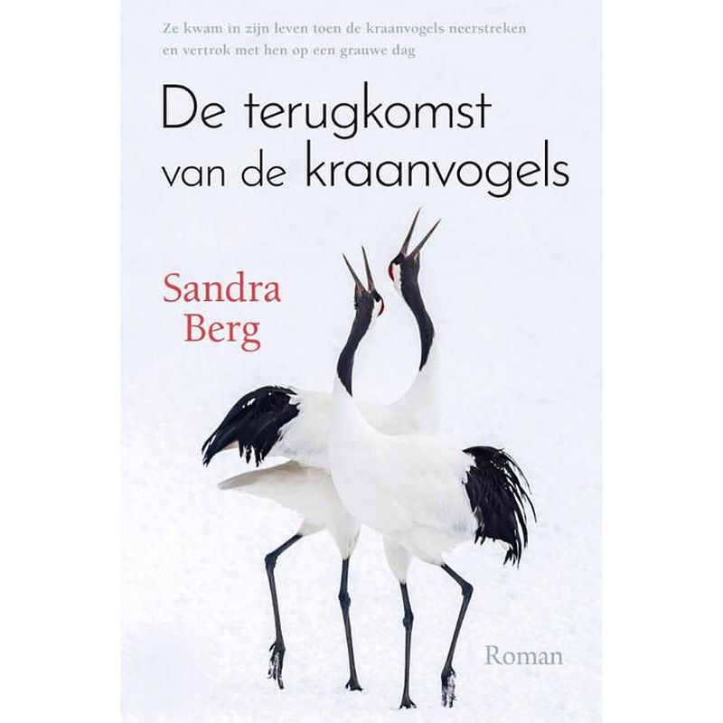 Foto van De terugkomst van de kraanvogels