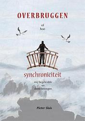 Foto van Synchroniciteit - pieter sluis - paperback (9789493288546)