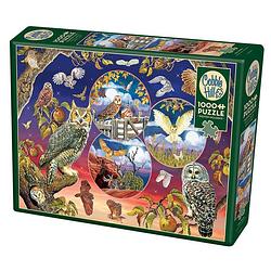 Foto van Cobble hill legpuzzel owl magic 1000 stukjes