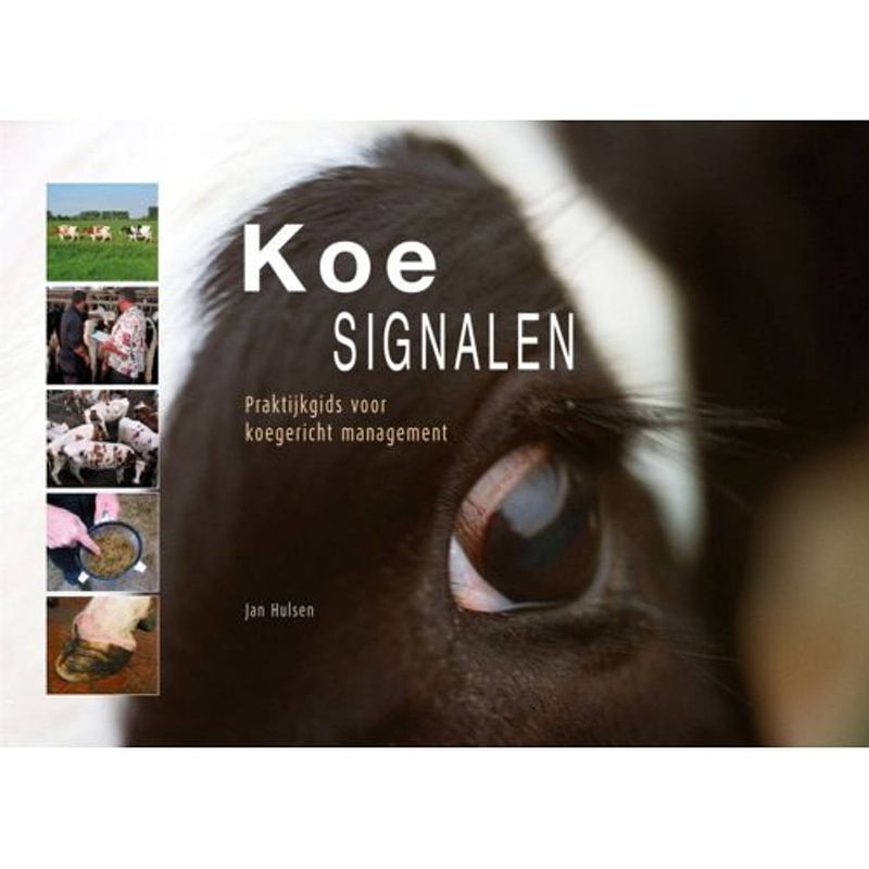 Foto van Koesignalen - koesignalen