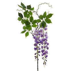 Foto van Wisteria alara spray purple 142cm