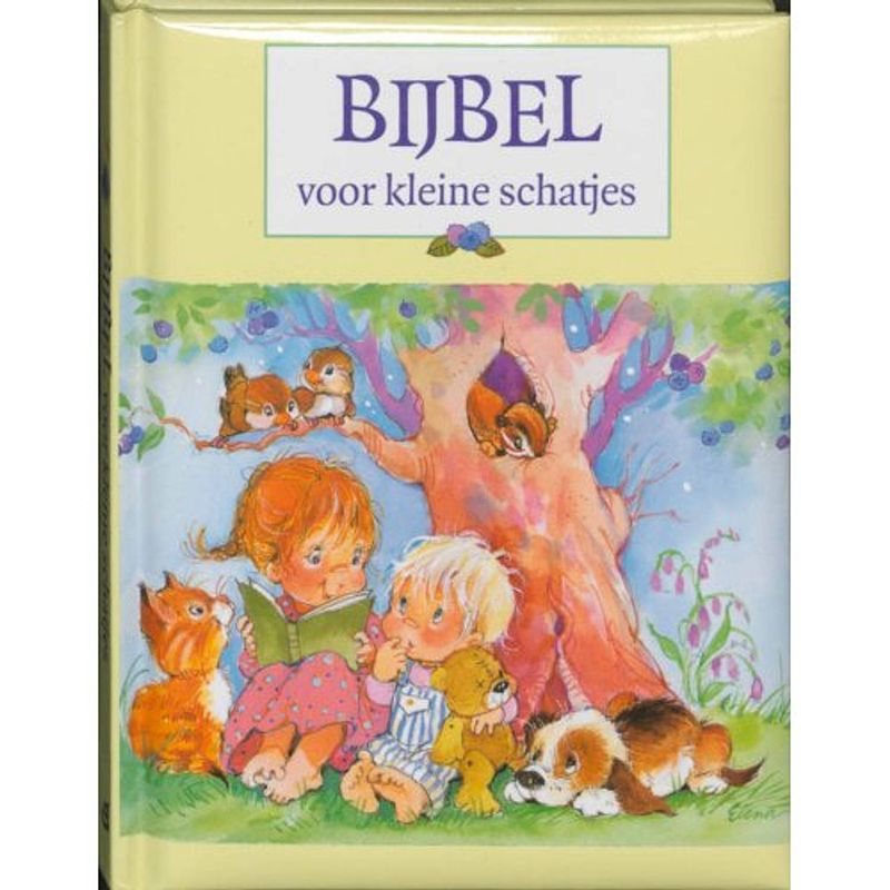 Foto van Bijbel voor kleine schatjes