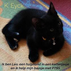 Foto van Ik ben leo, een hulphond in een kattenjasje en ik help mijn baasje met ptss - k. eyck - paperback (9789403626918)