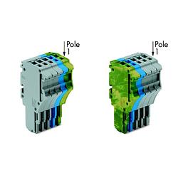 Foto van Wago 2020-105/000-038 connector, female 50 stuk(s)