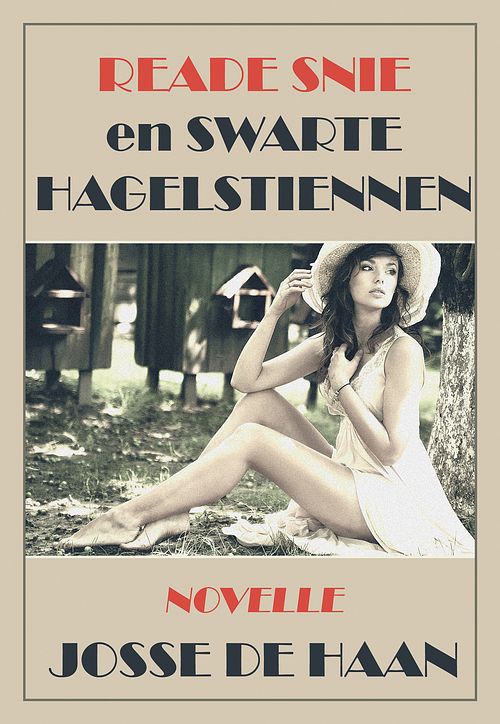 Foto van Reade snie en swarte hagelstiennen - josse de haan - ebook (9789089548979)