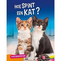 Foto van Hoe spint een kat?