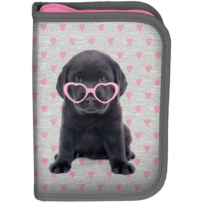 Foto van Studio pets puppy glasses - leeg etui - 19.5 cm - multi