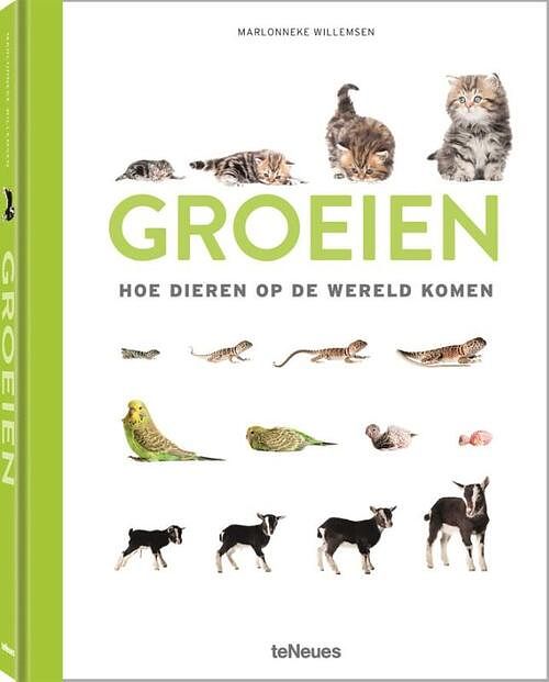 Foto van Groeien - marlonneke willemsen - hardcover (9783961713424)