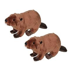 Foto van 2x stuks pluche knuffel dier bever 24 cm - knuffel bosdieren