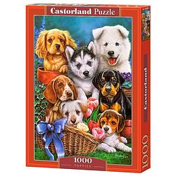 Foto van Castorland legpuzzel puppies 1000 stukjes