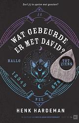 Foto van Wat gebeurde er met david? - henk hardeman - hardcover (9789000383481)