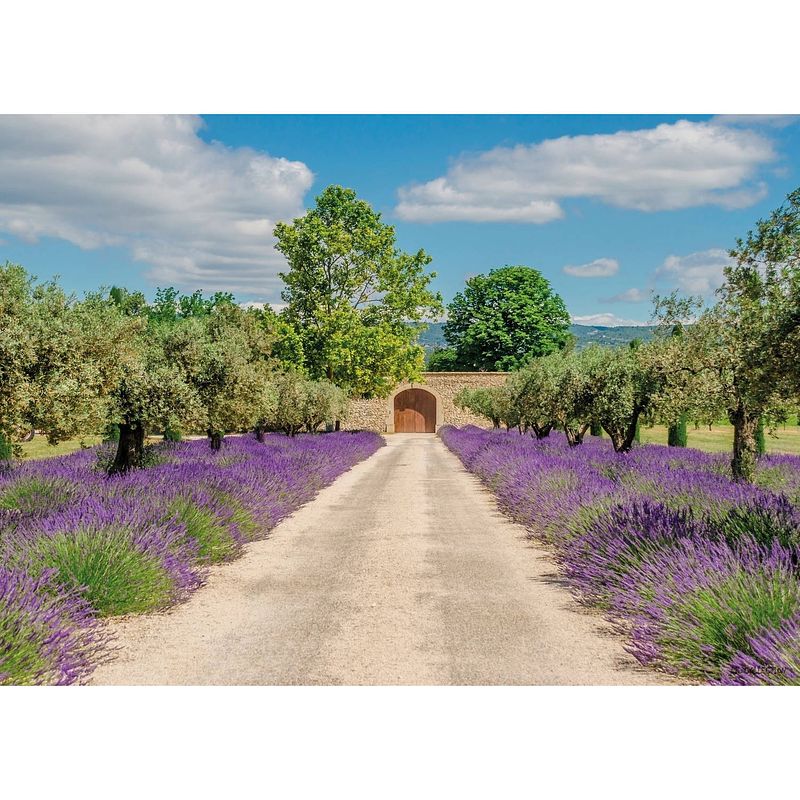 Foto van 2 stuks tuinschilderij lavender view with door 50x70cm