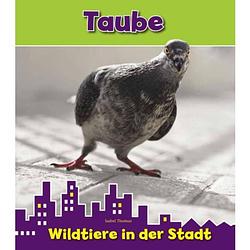 Foto van Taube - wildtiere in der stadt