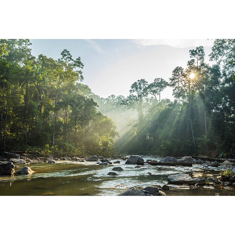 Foto van Spatscherm zonnige rivier - 60x40 cm