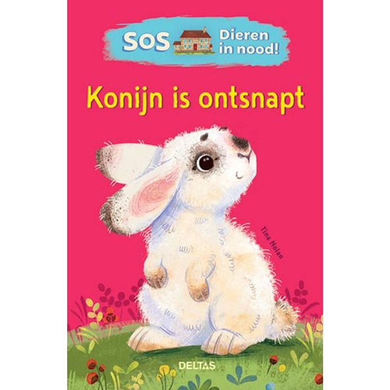 Foto van Konijn is ontsnapt - sos dieren in nood!