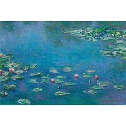 Foto van Pyramid claude monet waterlillies poster 91,5x61cm