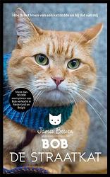 Foto van Bob de straatkat - james bowen - ebook