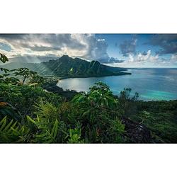 Foto van Komar jurassic island vlies fotobehang 450x280cm 9-banen