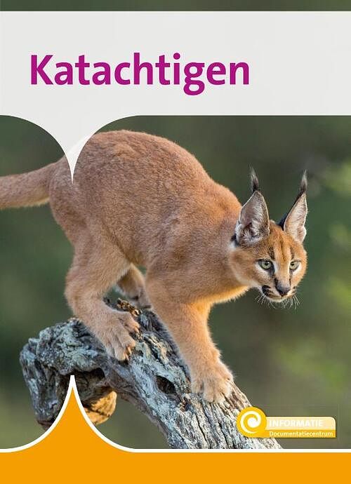 Foto van Katachtigen - marlies huijzer - hardcover (9789086649525)