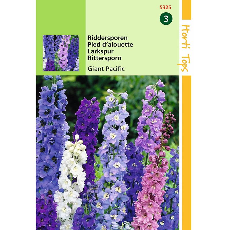 Foto van 2 stuks delphinium cultorum giant pacific