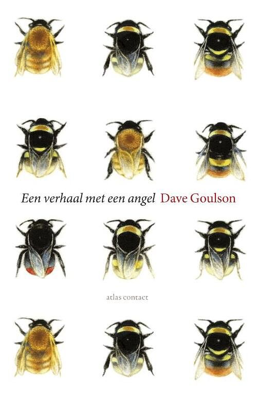 Foto van Een verhaal met een angel - dave goulson - ebook (9789045026411)