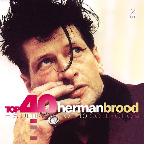 Foto van The essential: herman brood - cd (0889853401925)