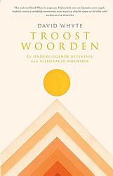 Foto van Troostwoorden - david whyte - ebook (9789043537223)