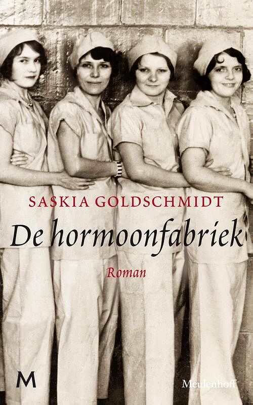 Foto van De hormoonfabriek - saskia goldschmidt - ebook (9789402318852)