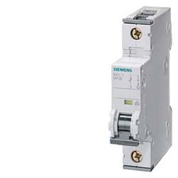 Foto van Siemens 5sy61046 5sy6104-6 zekeringautomaat 4 a 230 v, 400 v