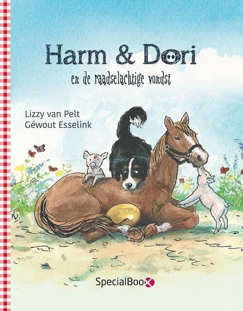 Foto van Harm & dori en de raadselachtige vondst - lizzy van pelt - hardcover (9789492482969)