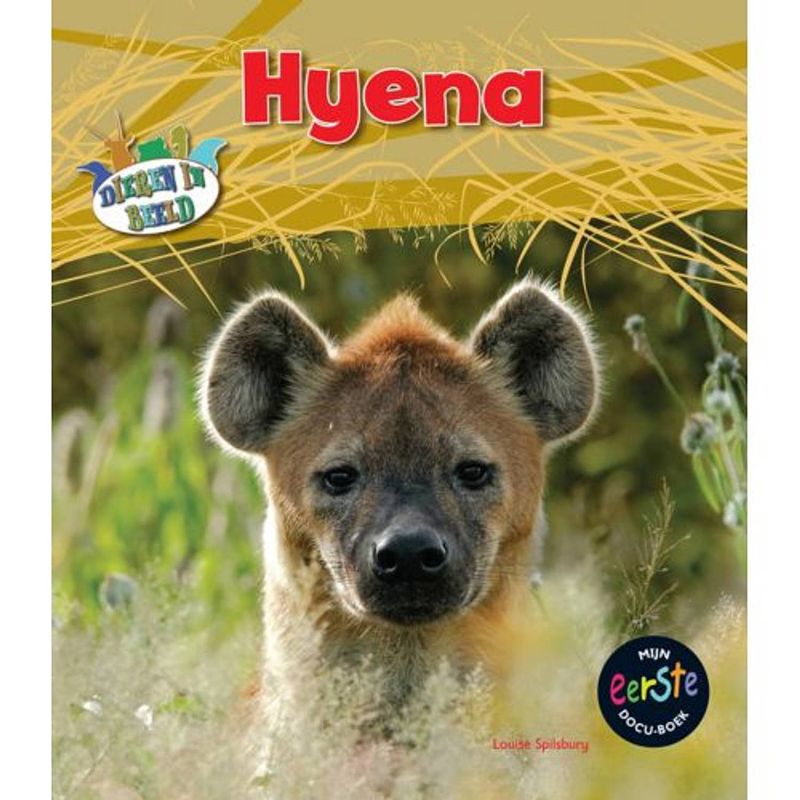 Foto van Hyena - dieren in beeld