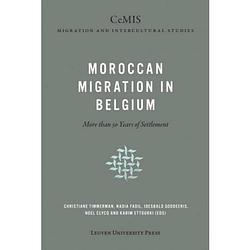Foto van Migration and integration in flanders - cemis