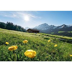 Foto van Komar alpenglück vlies fotobehang 400x280cm 8-banen