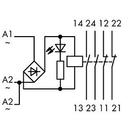 Foto van Wago 789-536 industrieel relais nominale spanning: 24 v/dc, 24 v/ac schakelstroom (max.): 4 a 2x no, 2x nc 1 stuk(s)