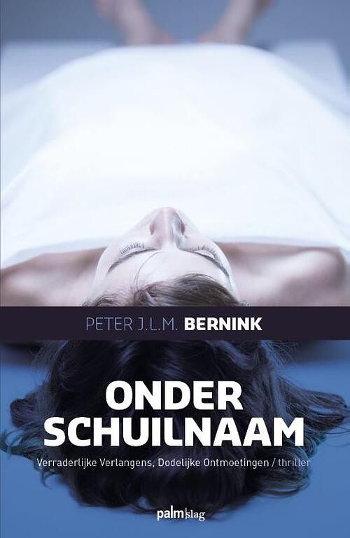 Foto van Onder schuilnaam - peter bernink - paperback (9789493245655)