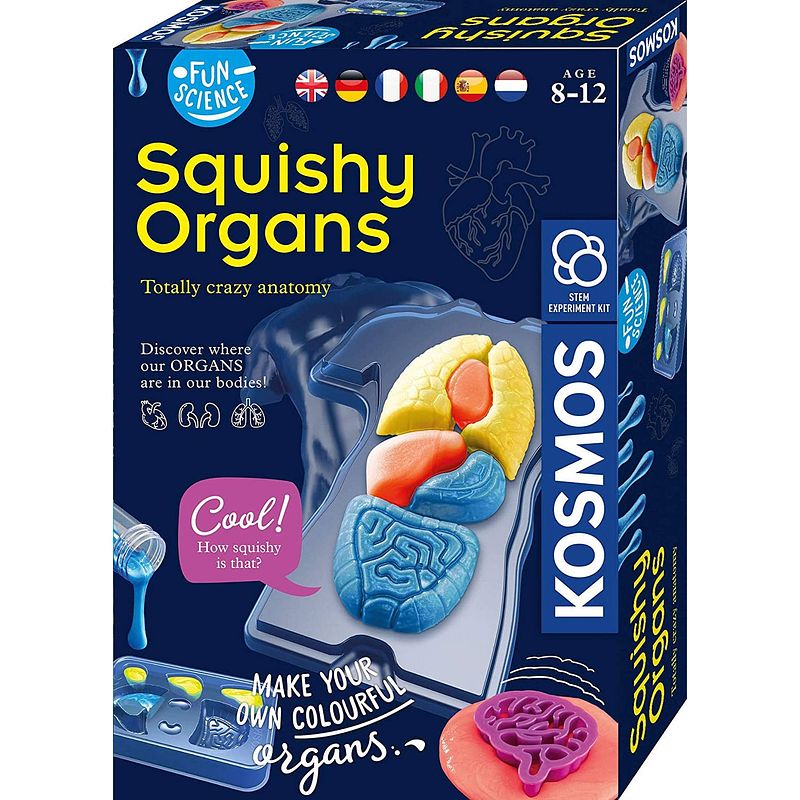 Foto van Kosmos squichy organs fun science junior knutselset