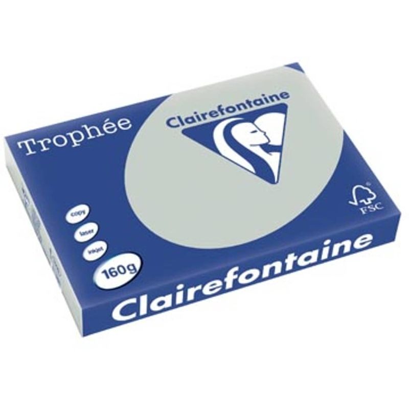 Foto van Clairefontaine trophée pastel a3 lichtgrijs, 160 g, 250 vel