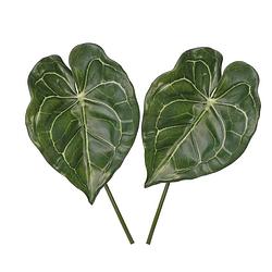 Foto van 2x kunstplanten anthurium bladgroen takken 67 cm - kunstbloemen