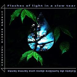 Foto van Flashes of light in a slow tear - cd (3663729187710)