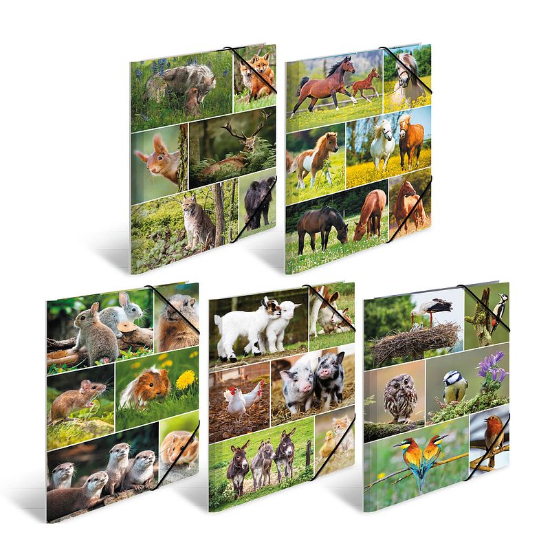 Foto van Assortimentsmap a4 animal worlds 10 st.