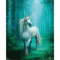 Foto van Pyramid anne stokes forest unicorn poster 40x50cm