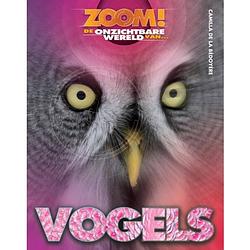 Foto van Vogels - zoom!