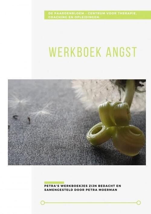 Foto van Werkboek angst - petra moerman - paperback (9789464051452)