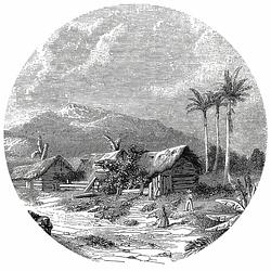 Foto van Wallart behangcirkel landscape of guadeloupe 190 cm